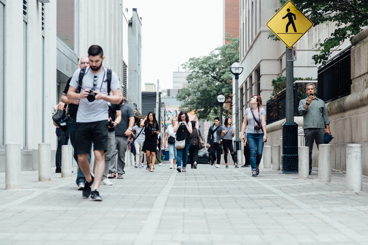 Pedestrian road side interview surveys